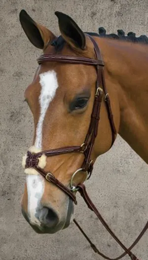 DYON FIGURE EIGHT BRIDLE DYAAAC