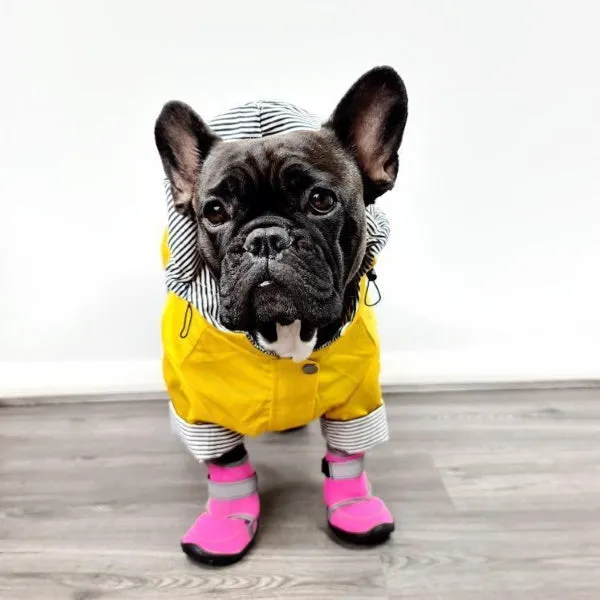 Neoprene Dog Shoes