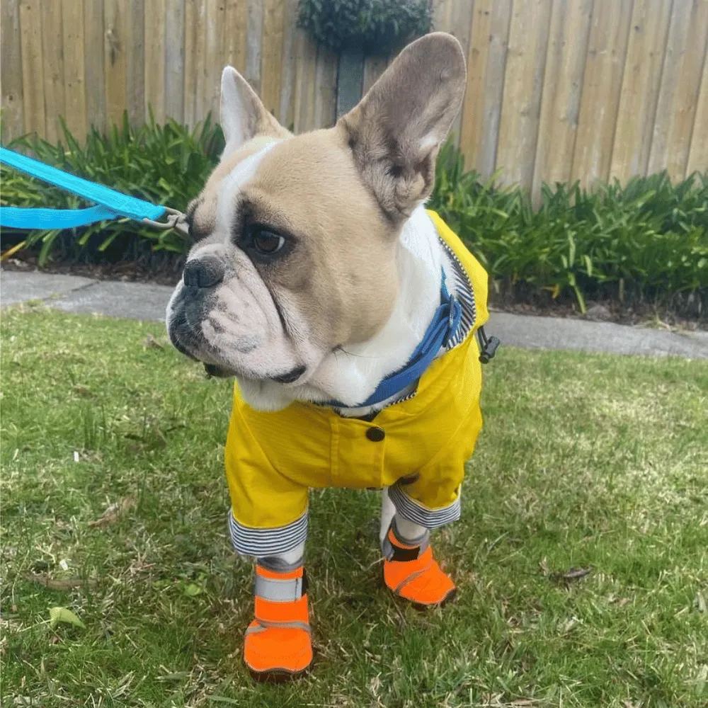 Neoprene Dog Shoes