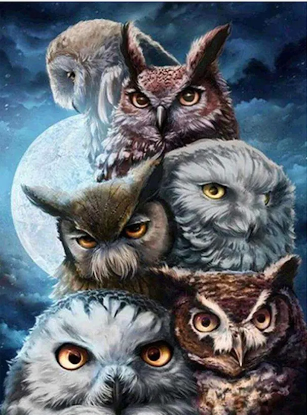 Owl Be Watching You Diamond Painting Kit